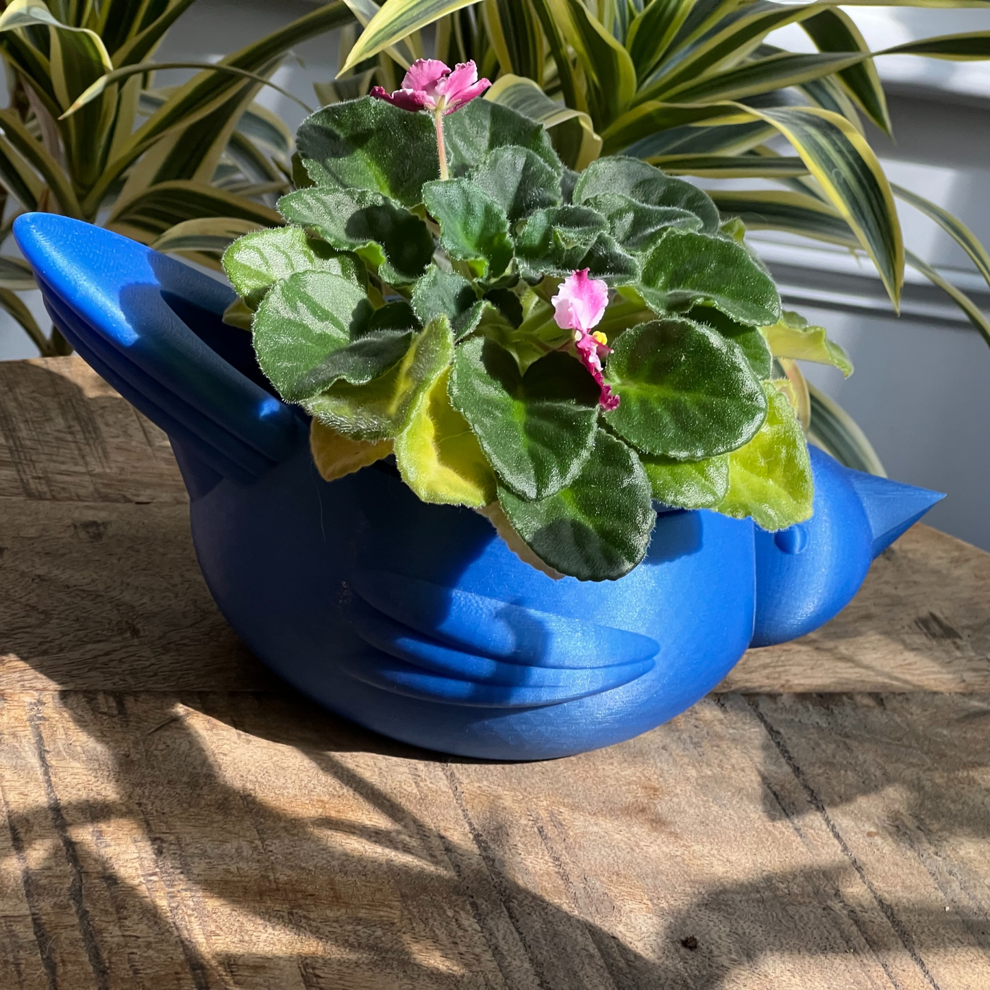 Chunky Bird self watering planter  with a small plant and pink flowers on a wooden surface.