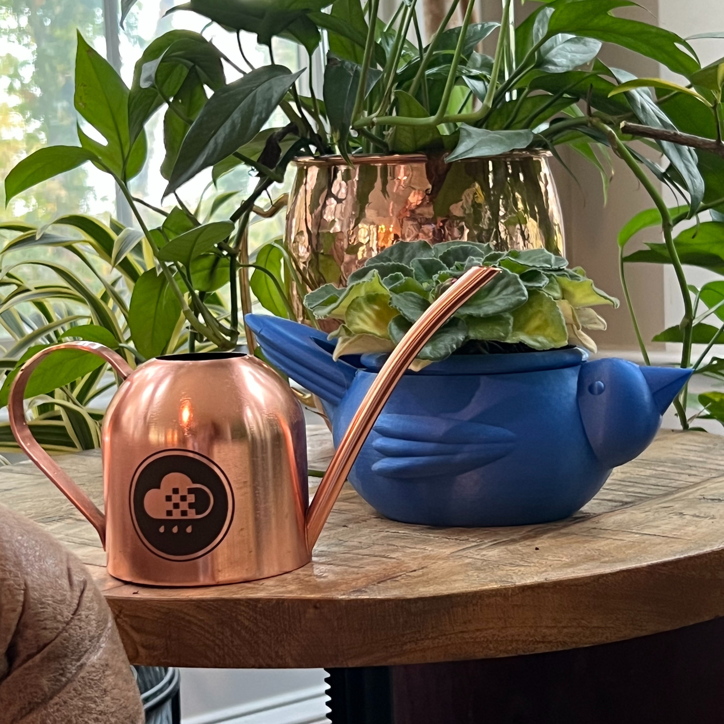 Copper watering can and Chunky Bird self watering planter with plants on a wooden surface