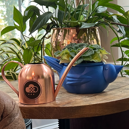 Copper watering can and Chunky Bird self watering planter with plants on a wooden surface