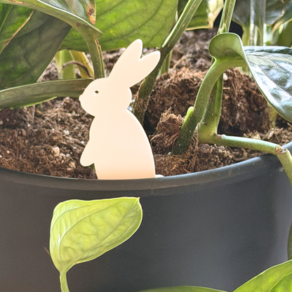 Bunny Plick (5 pack)