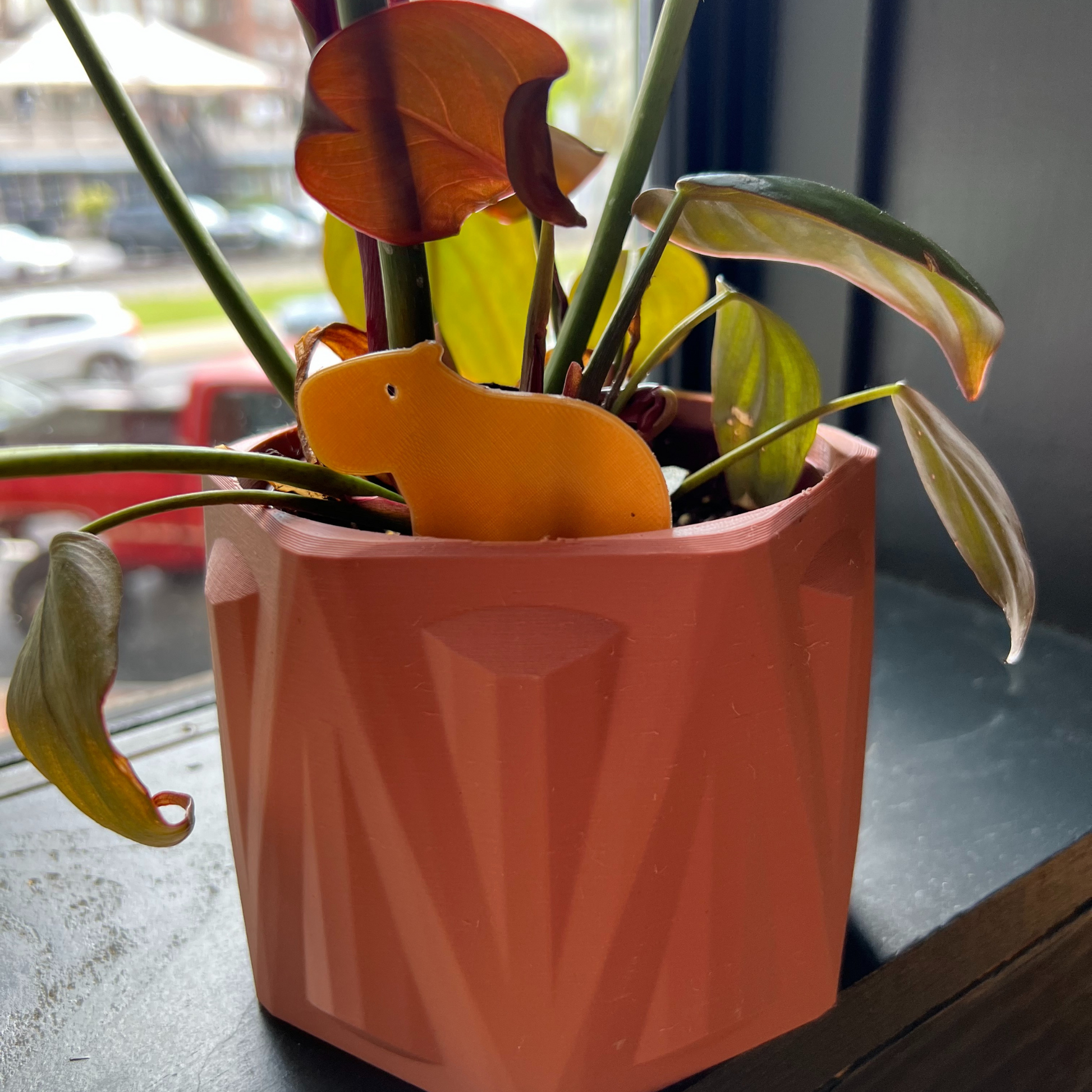 Small potted plant with a Capybara Plick 