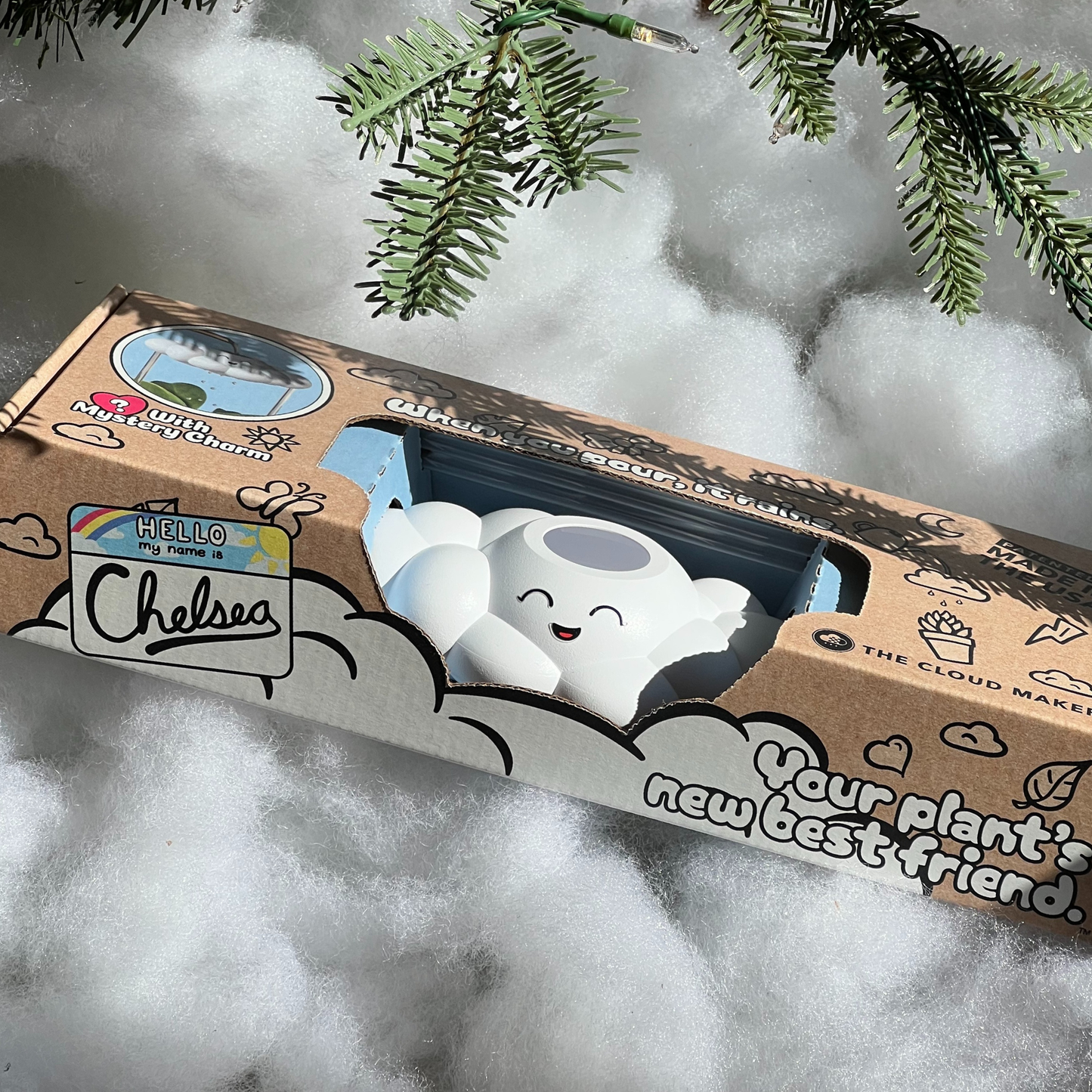Chelsea the Cloud with a smiling face in a cardboard box on a snowy background with tree branches.