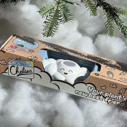Chelsea the Cloud with a smiling face in a cardboard box on a snowy background with tree branches.