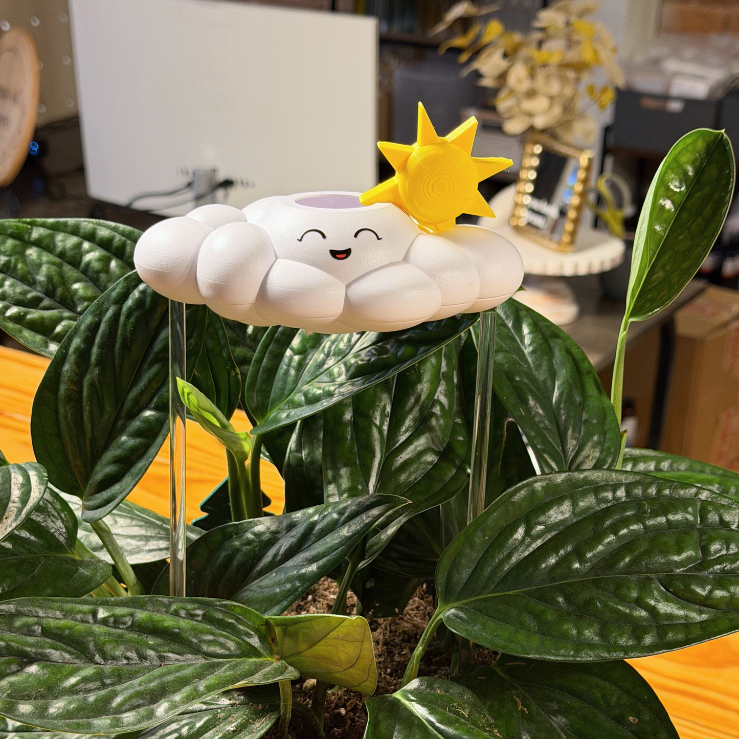 Chelsea the Cloud Series 001