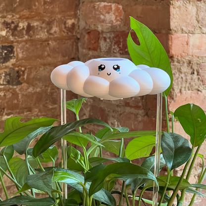 Clara the Cloud in green plants against a brick wall.