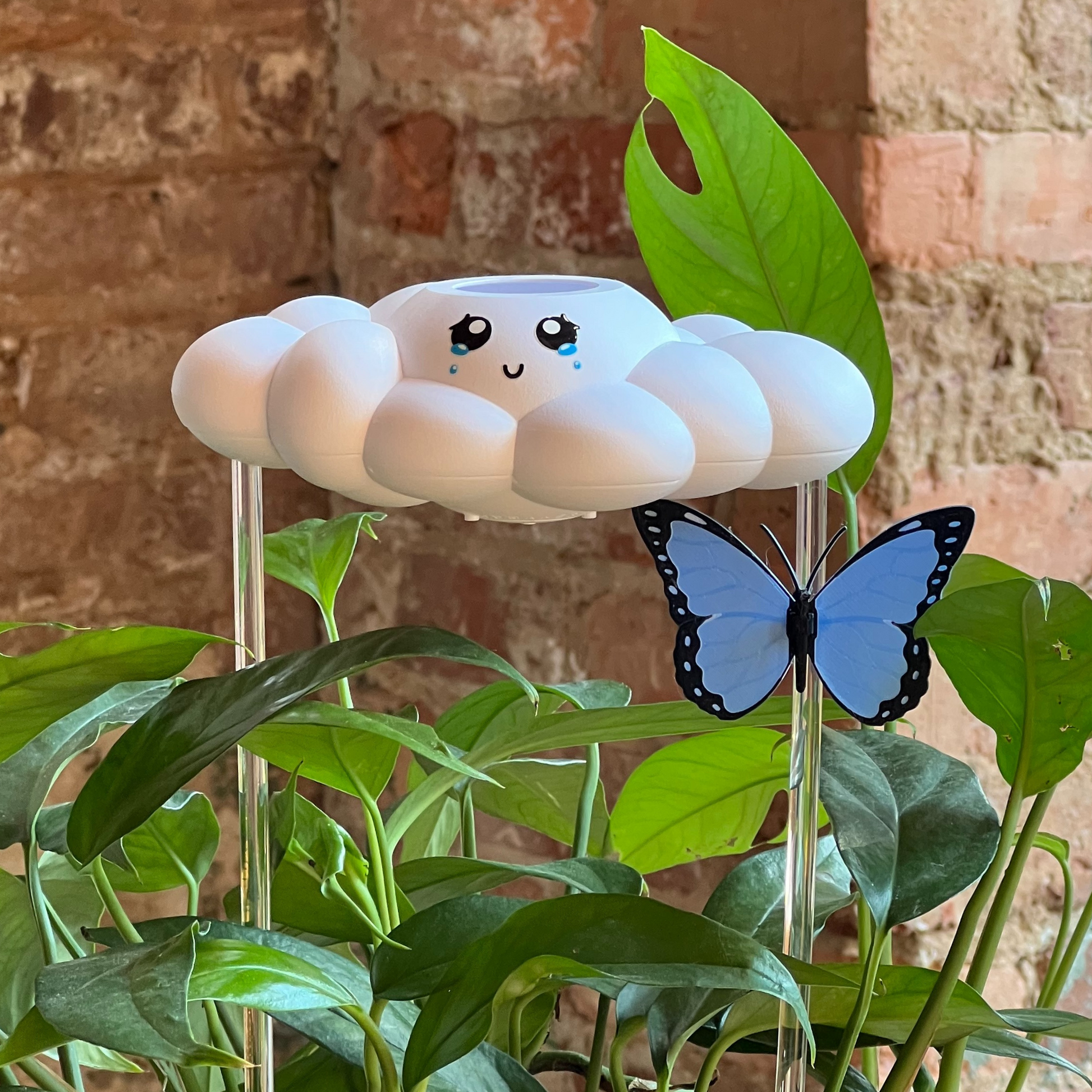 Clara the Cloud with a blue butterfly charm on a plant against a brick wall background