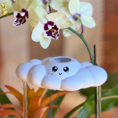 Clara the Cloud next to a potted orchid
