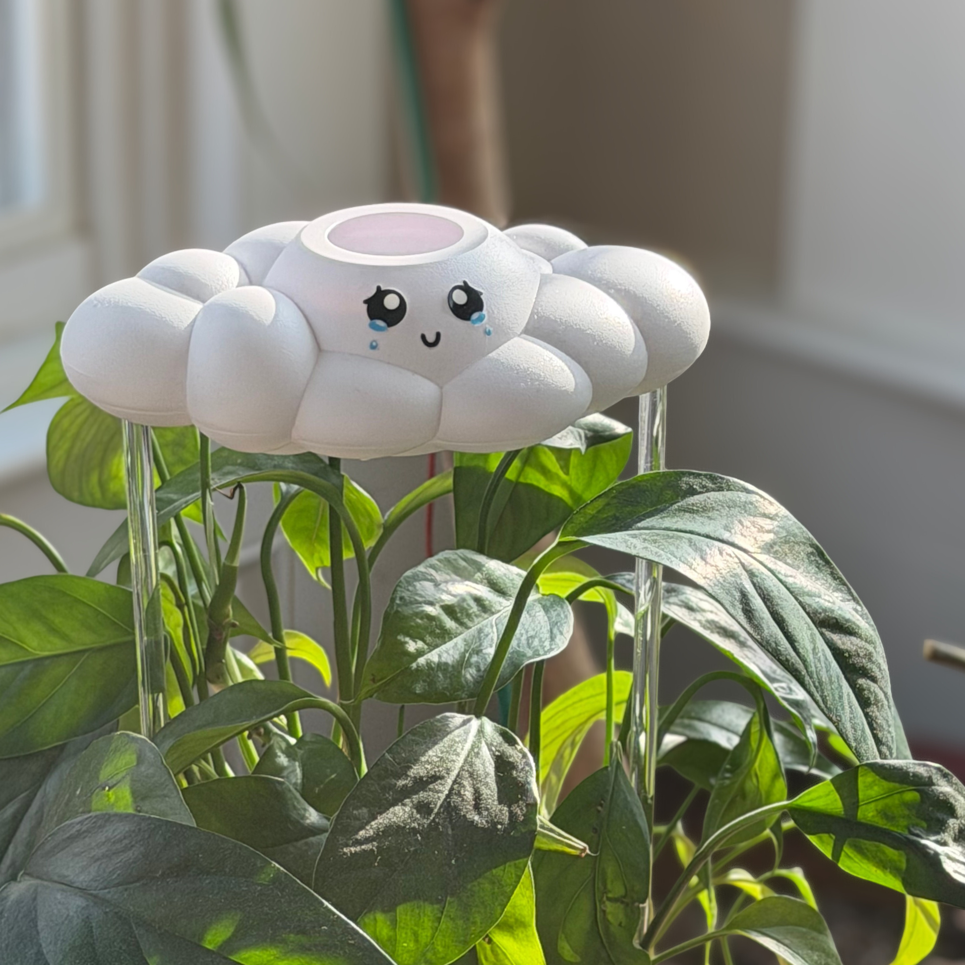 Clara the Cloud