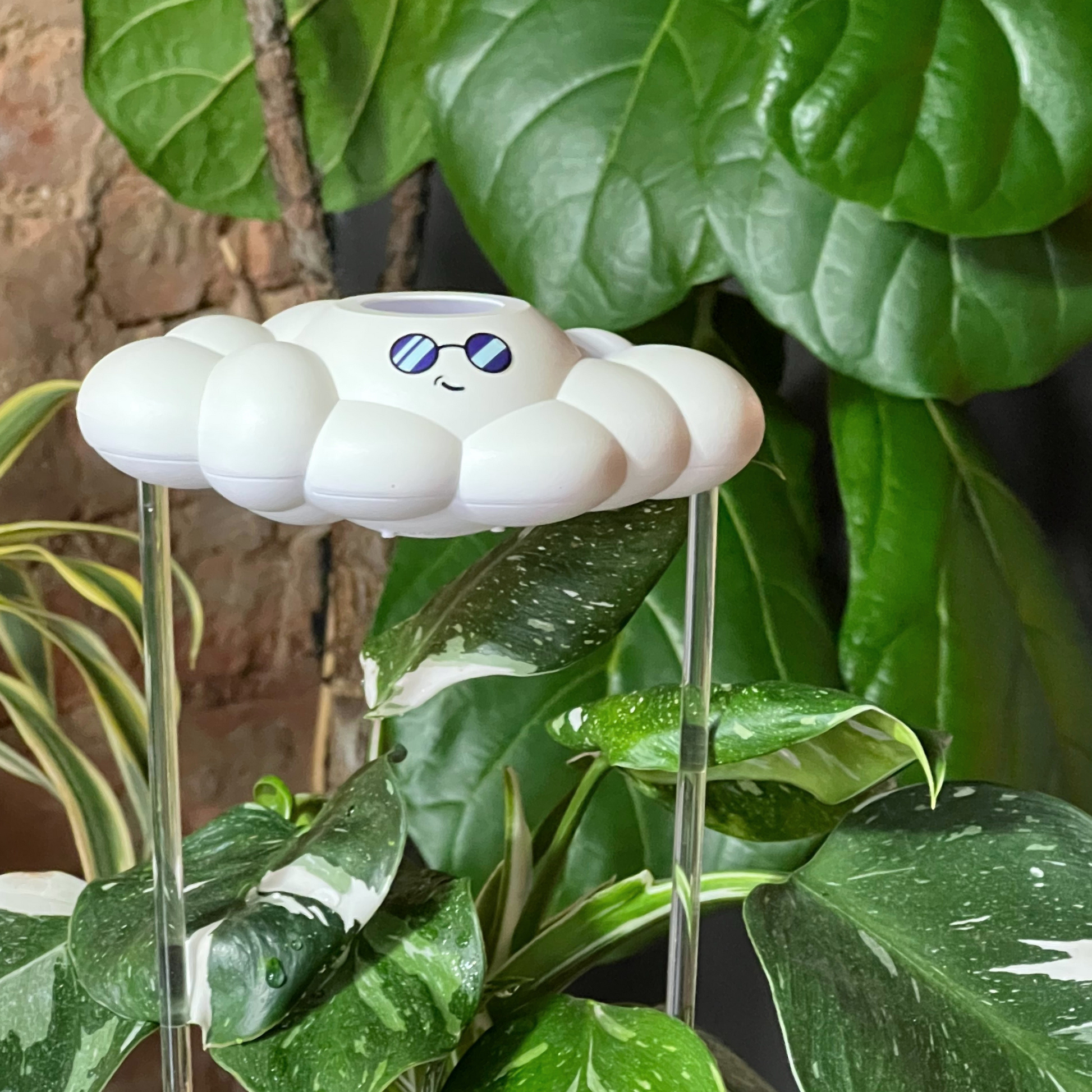 Cooper the Cloud surrounded by green leaves.