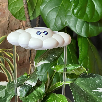 Cooper the Cloud surrounded by green leaves.
