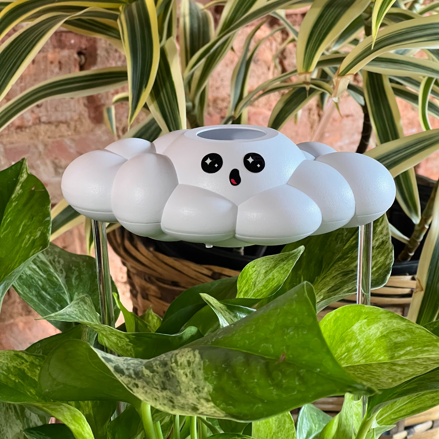 Cosmo the Cloud