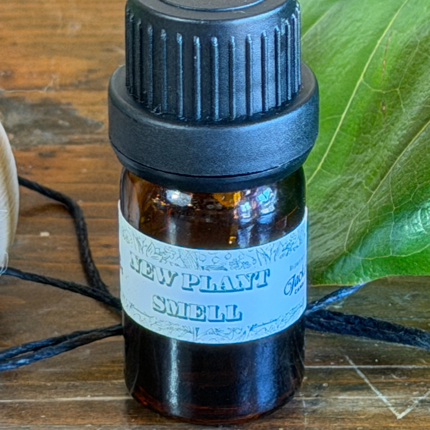 Tiny Plant Car Diffuser