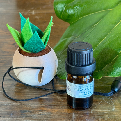 Tiny Plant Car Diffuser
