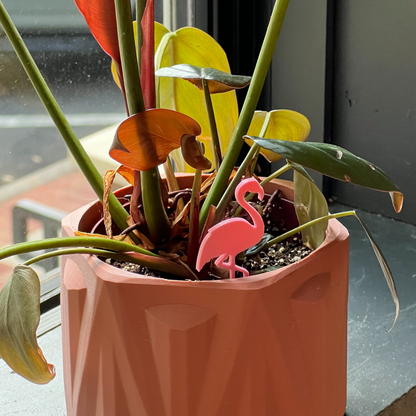 Small potted plant with a Flamingo Plick in front of a window