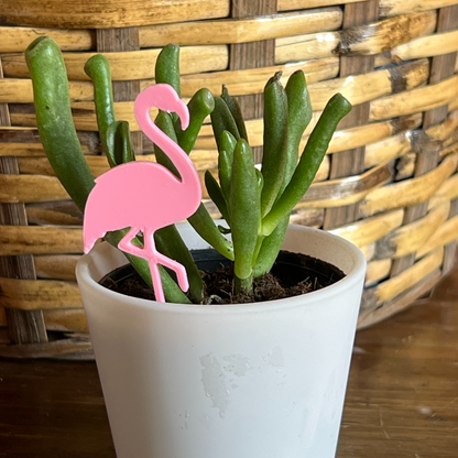 Small potted plant with a Flamingo Plick on a wooden surface