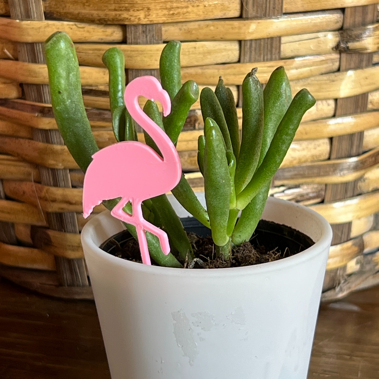 Flamingo Plick (5 Pack)