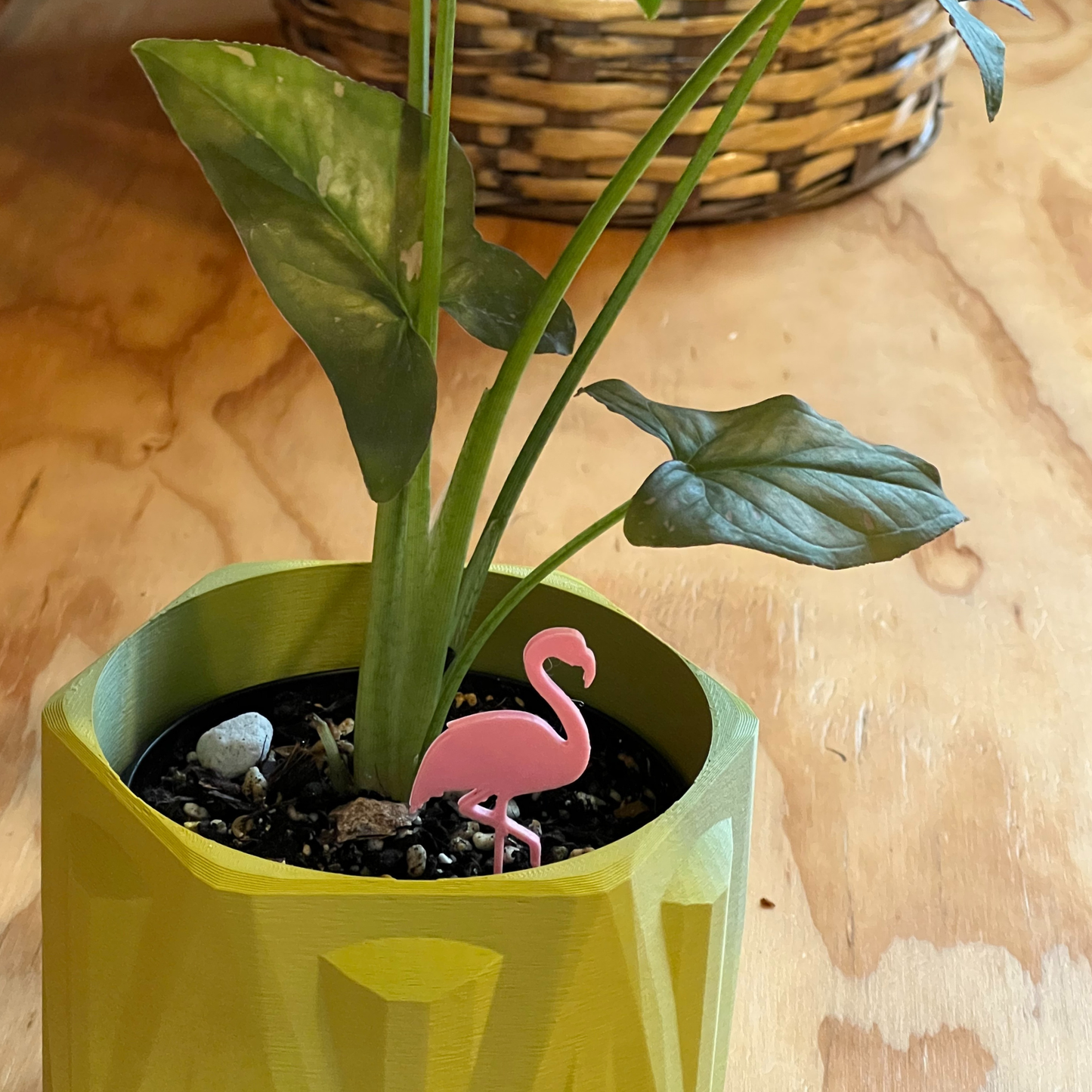 Potted plant with a pink flamingo Plick on a wooden surface