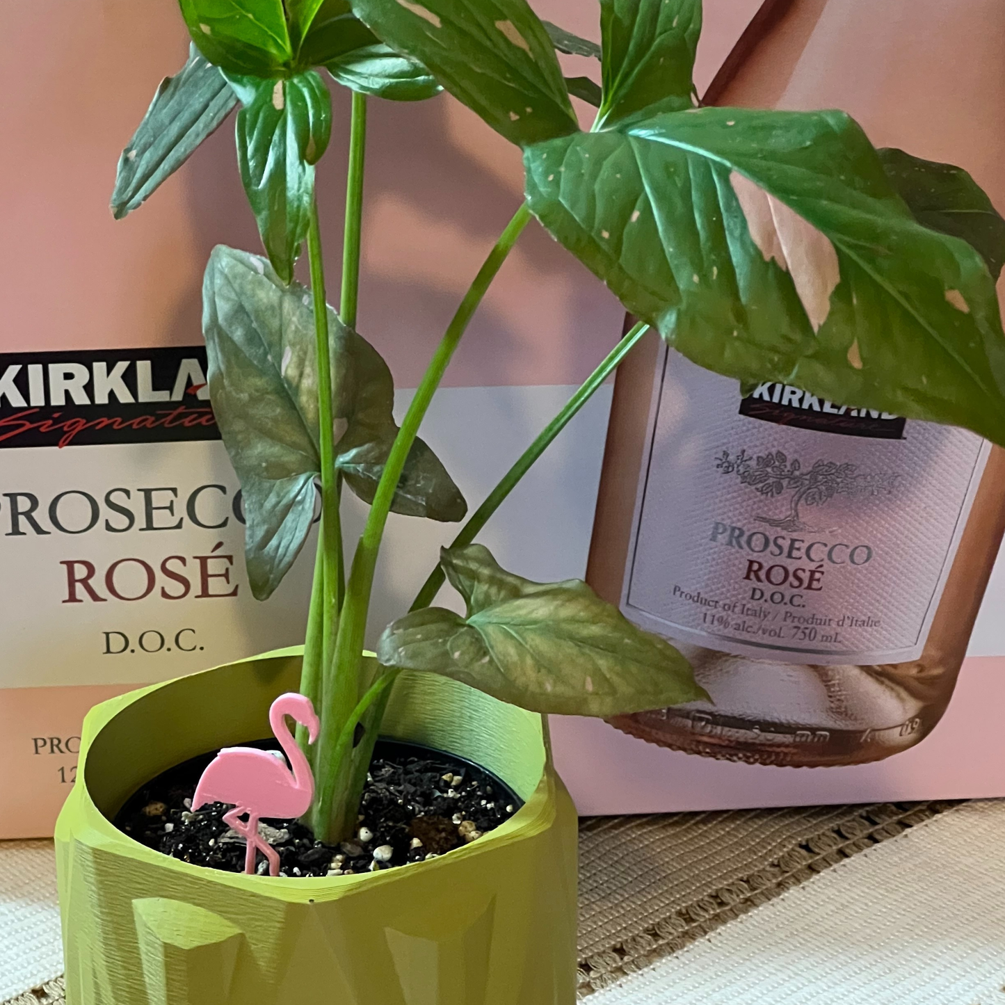 Small potted plant with a pink flamingo plick in front of Kirklan Prosecco bottles.