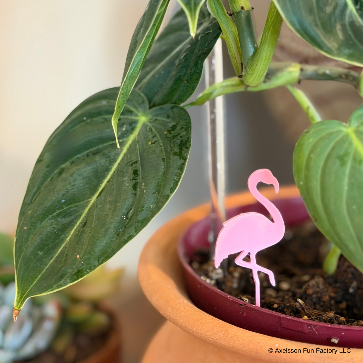 Flamingo Plick (5 Pack)