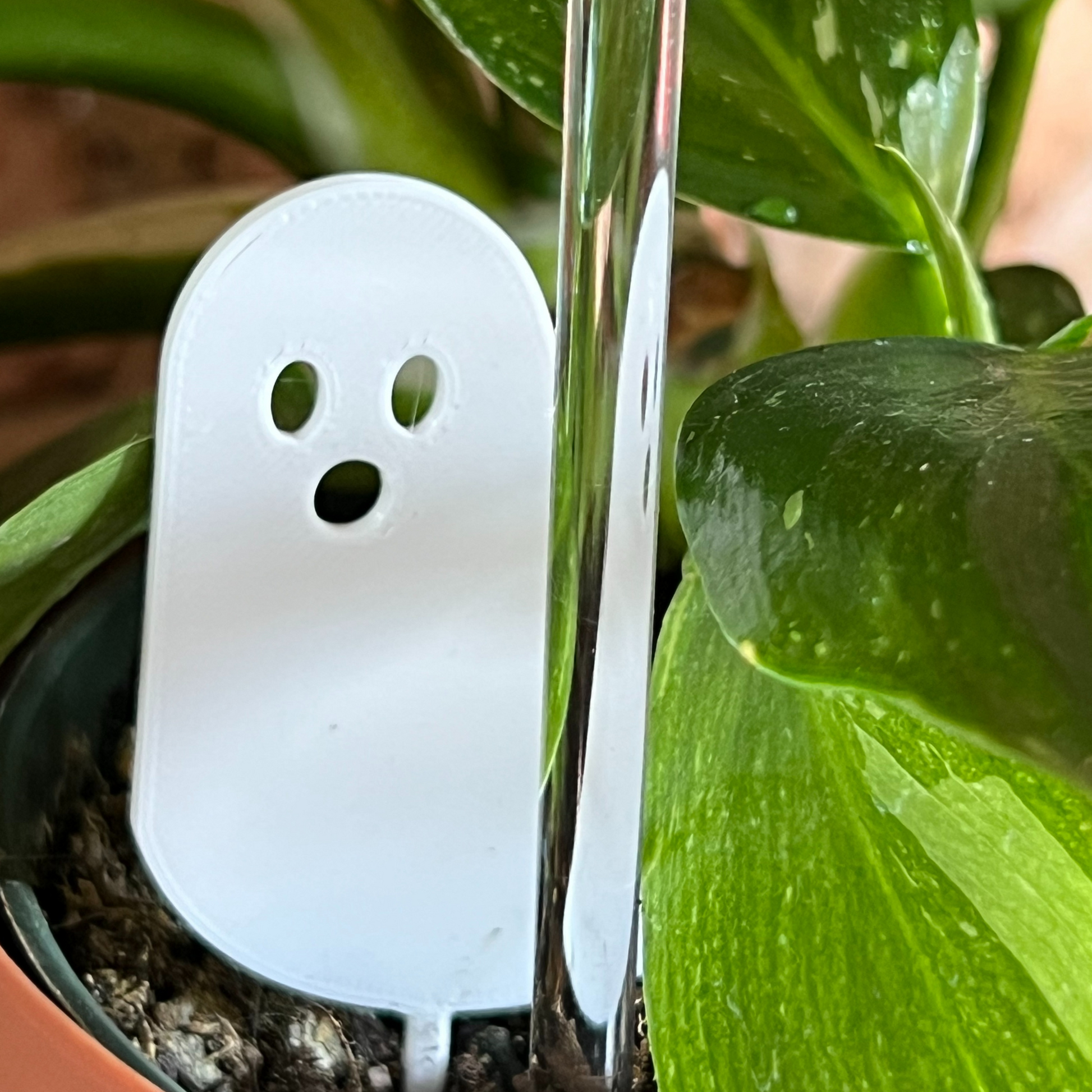 Potted plant with a white ghost-shaped Plick 
