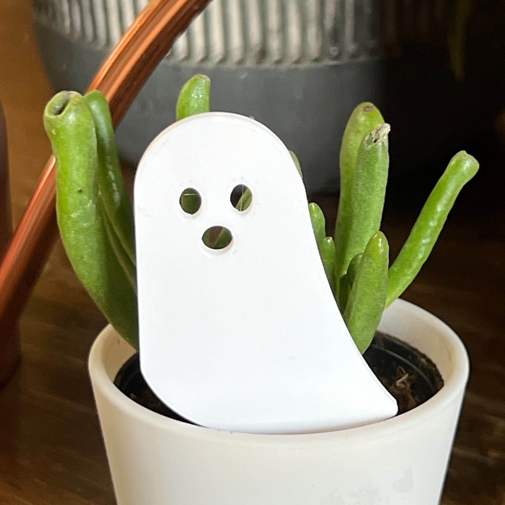 Small potted plant with a white ghost-shaped Plick on a wooden surface