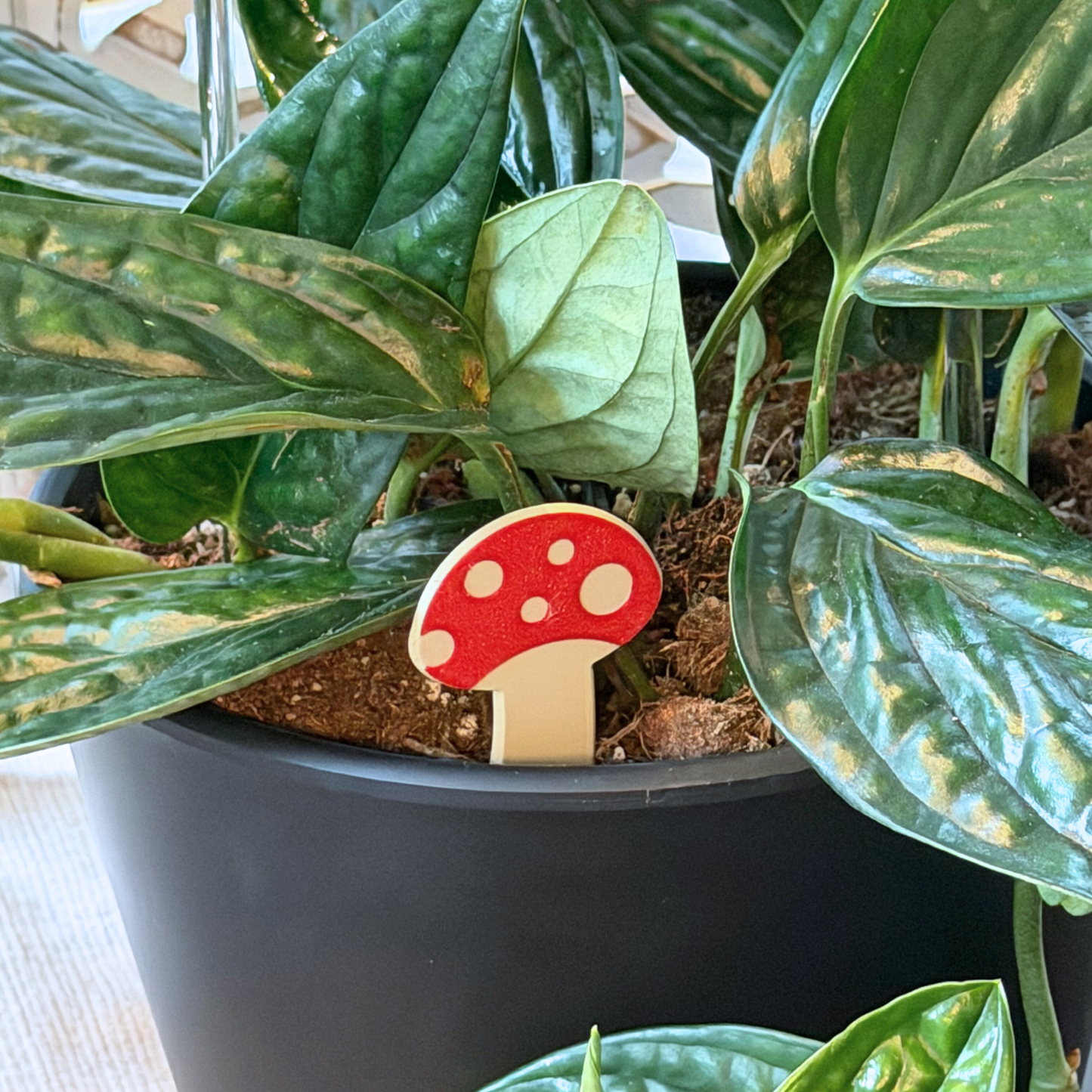 Mushroom Plick (5 Pack)