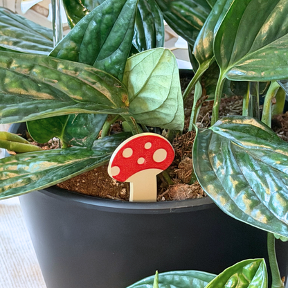 Mushroom Plick (5 Pack)