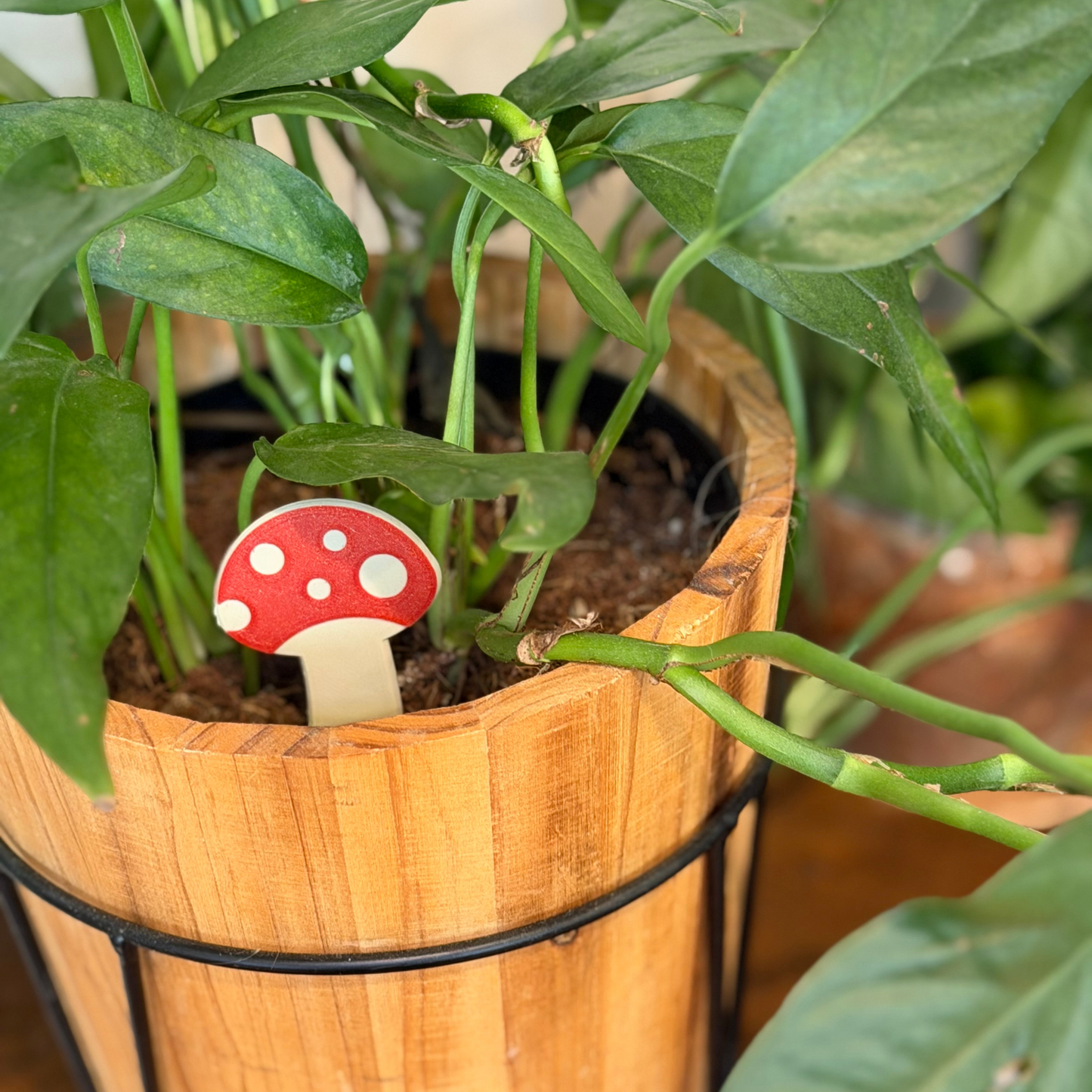 Mushroom Plick (5 Pack)