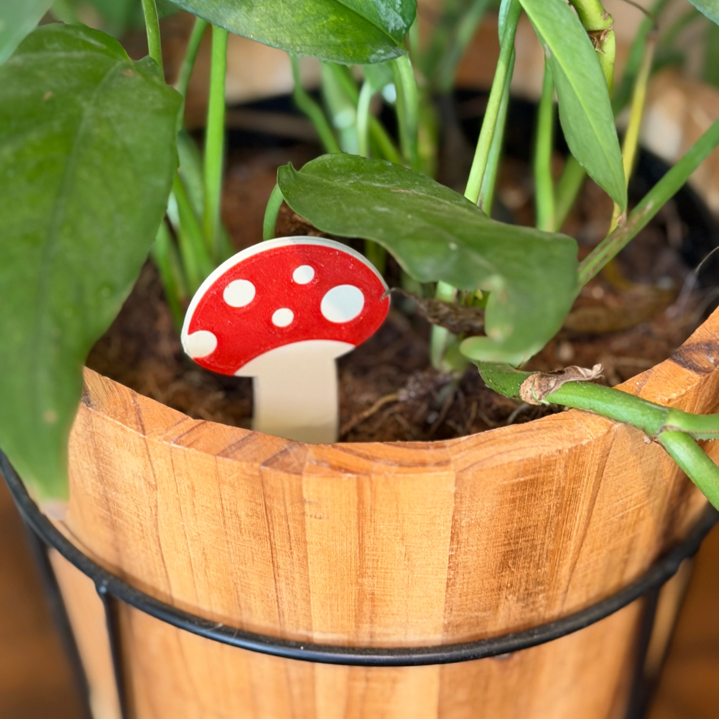 Mushroom Plick (5 Pack)