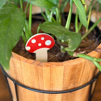 Mushroom Plick (5 Pack)