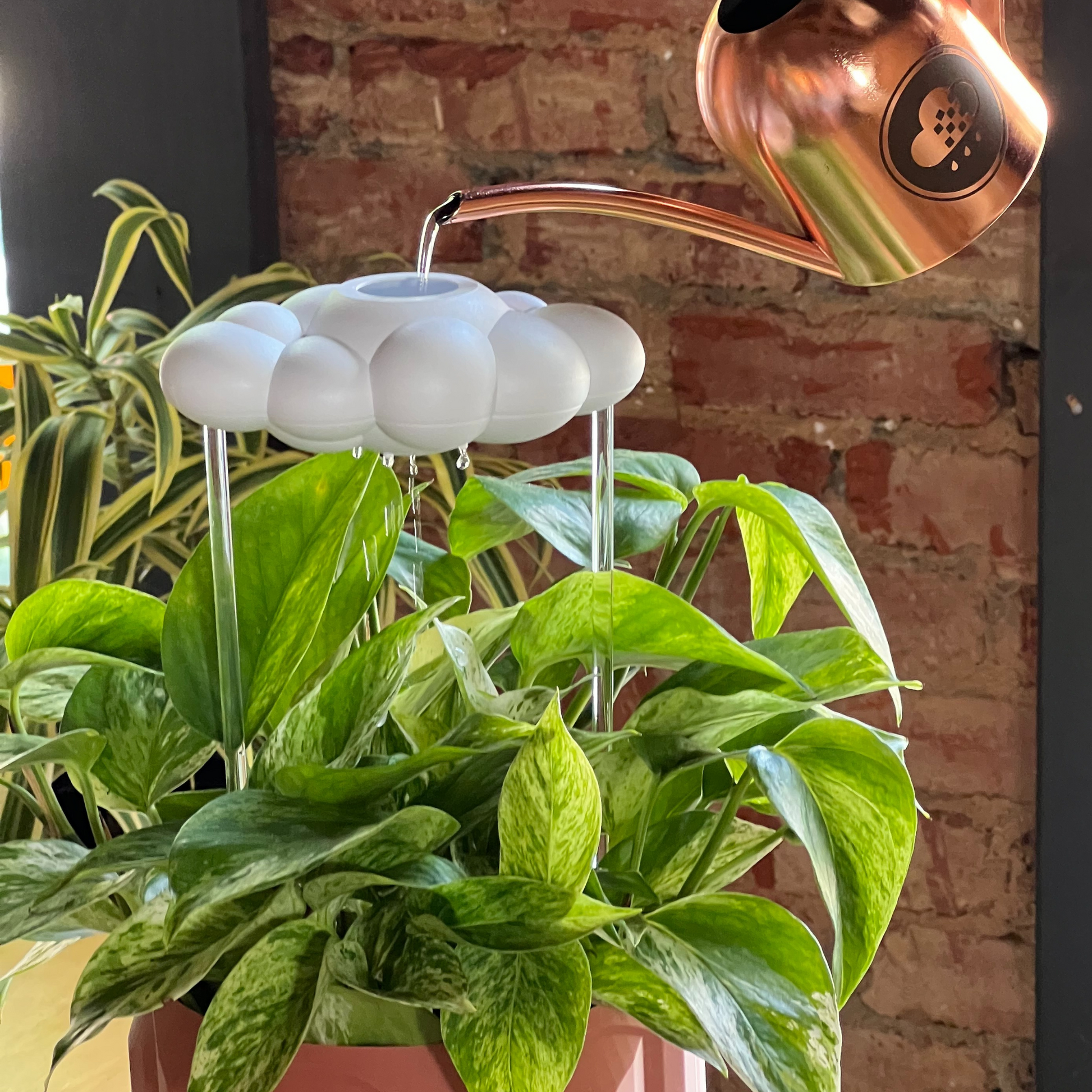 White cloud shaped plant watering system with a copper watering can against a brick wall.