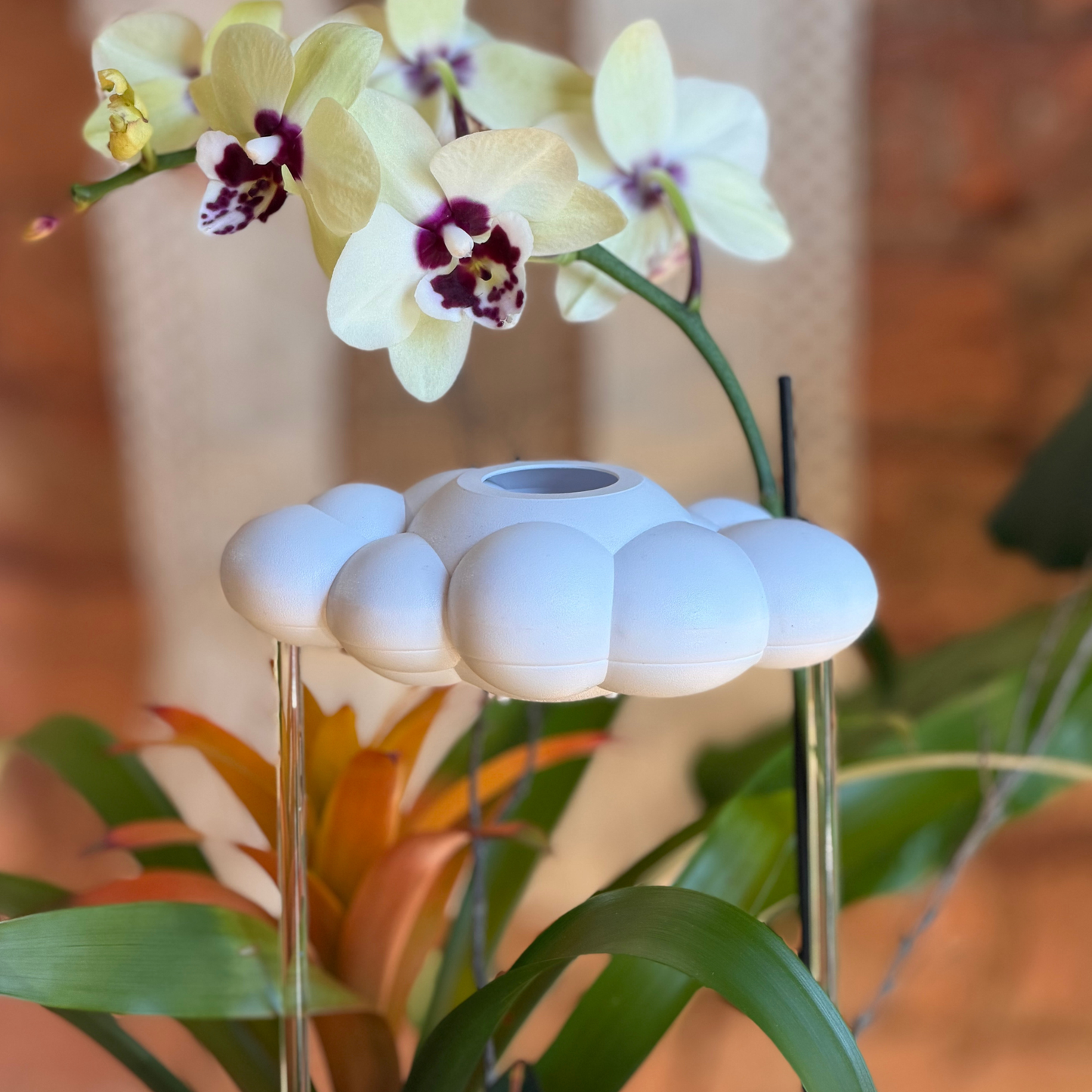 The Original Dripping Rain Cloud