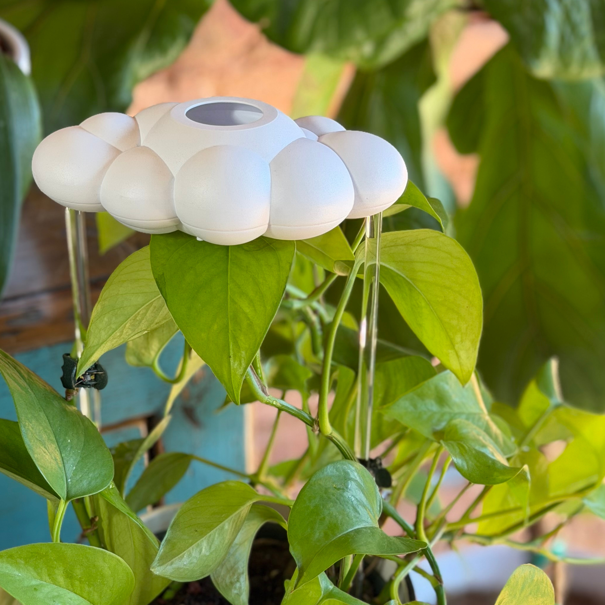 The Original Dripping Rain Cloud