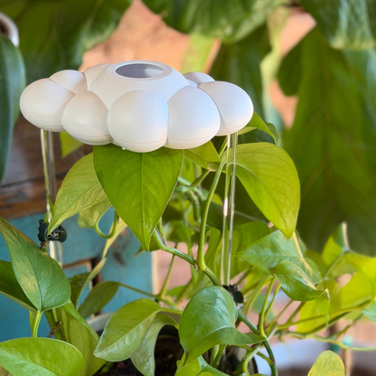 The Original Dripping Rain Cloud