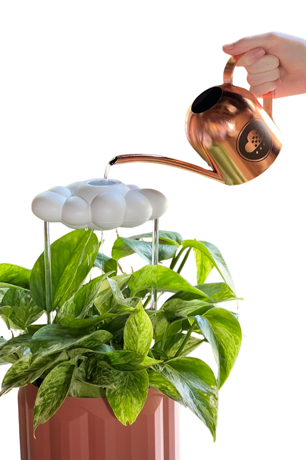 Copper watering can being used to water a potted plant with original dripping rain cloud