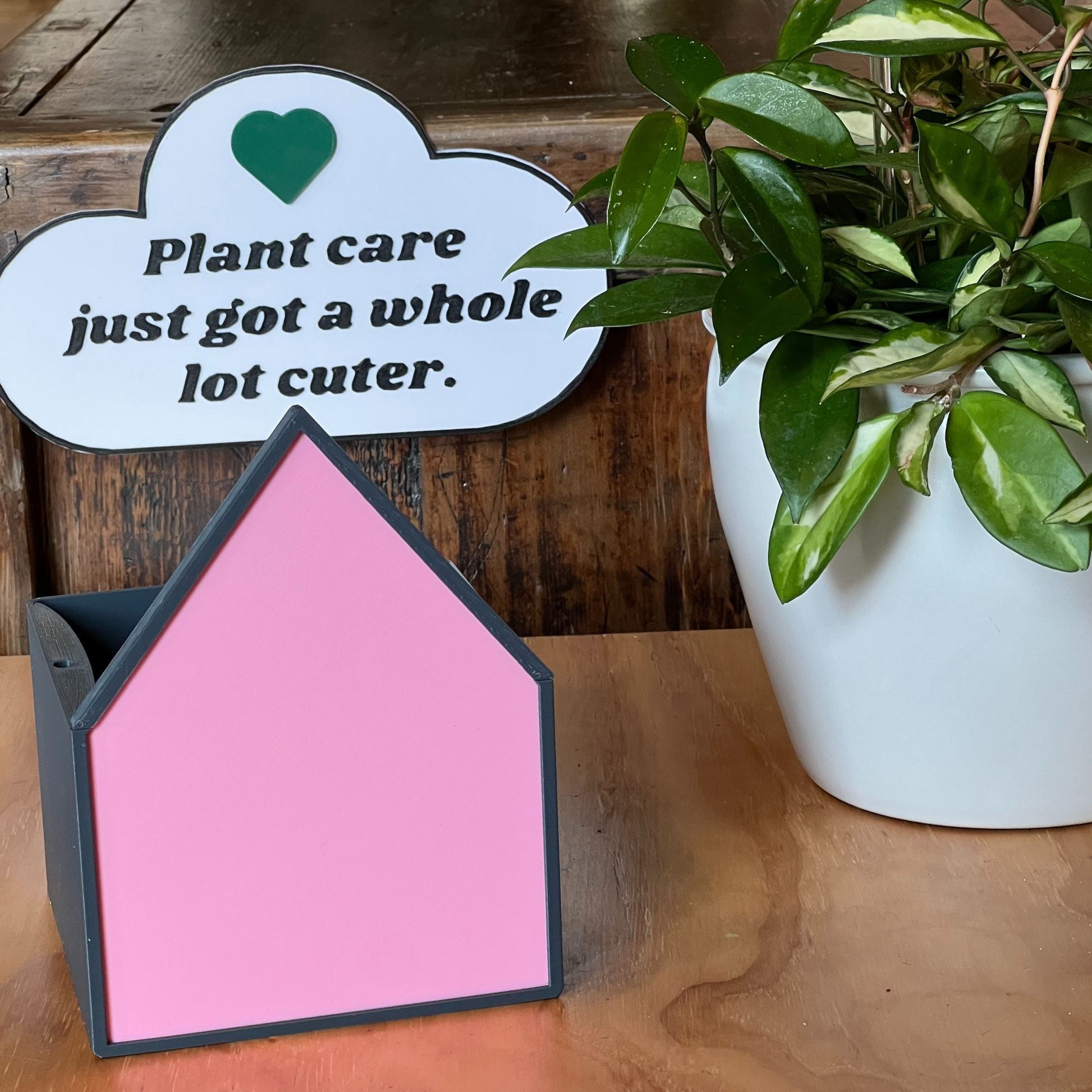 Pink House Planter