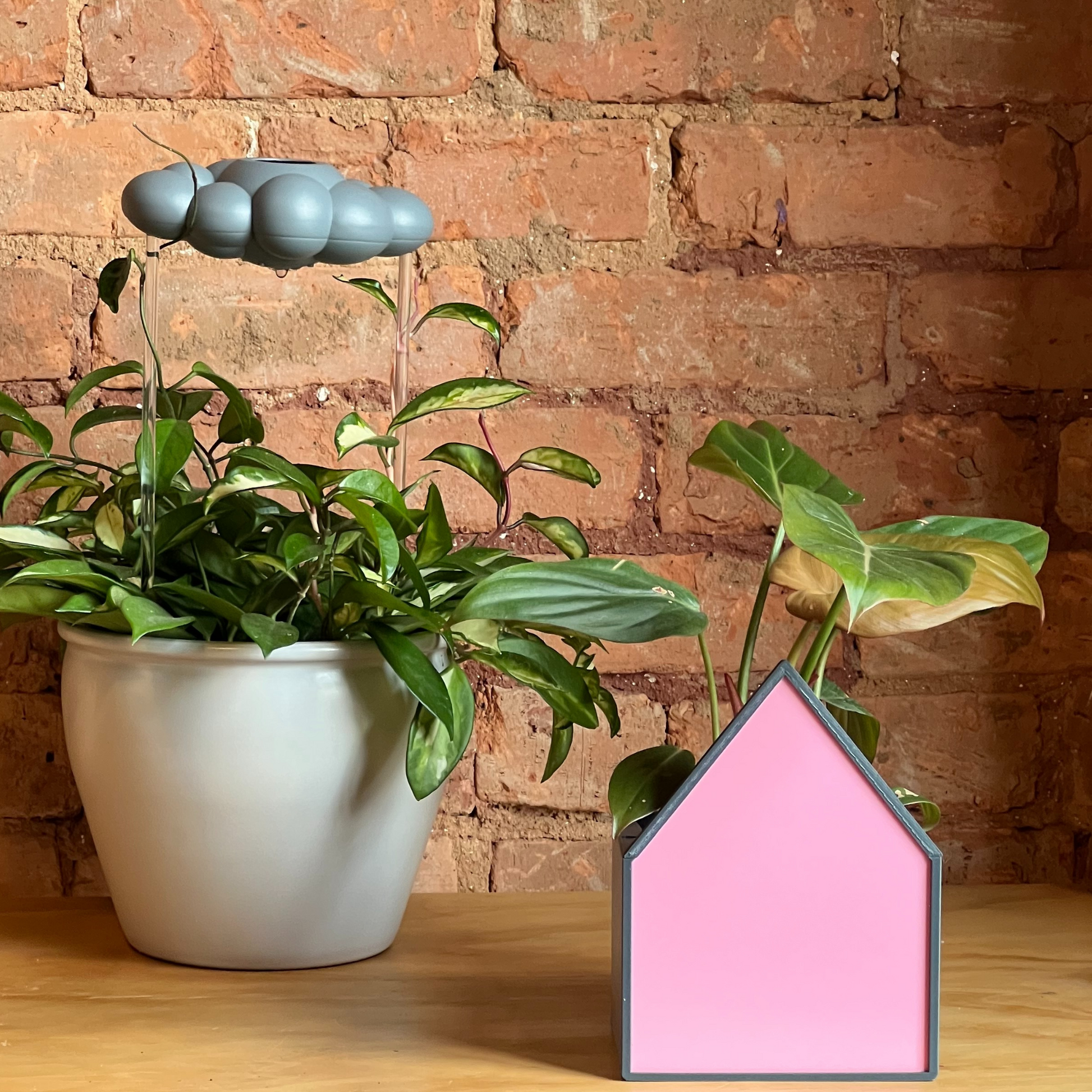 Pink House Planter