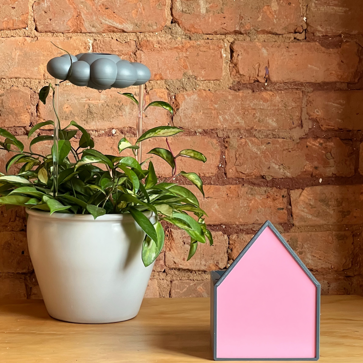 Pink House Planter