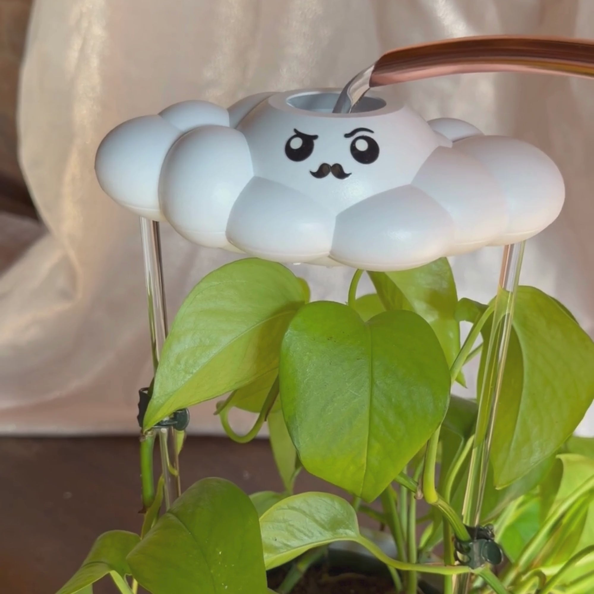 Carl the Cloud – Whimsical Plant Waterer Gift – The Cloud Makers