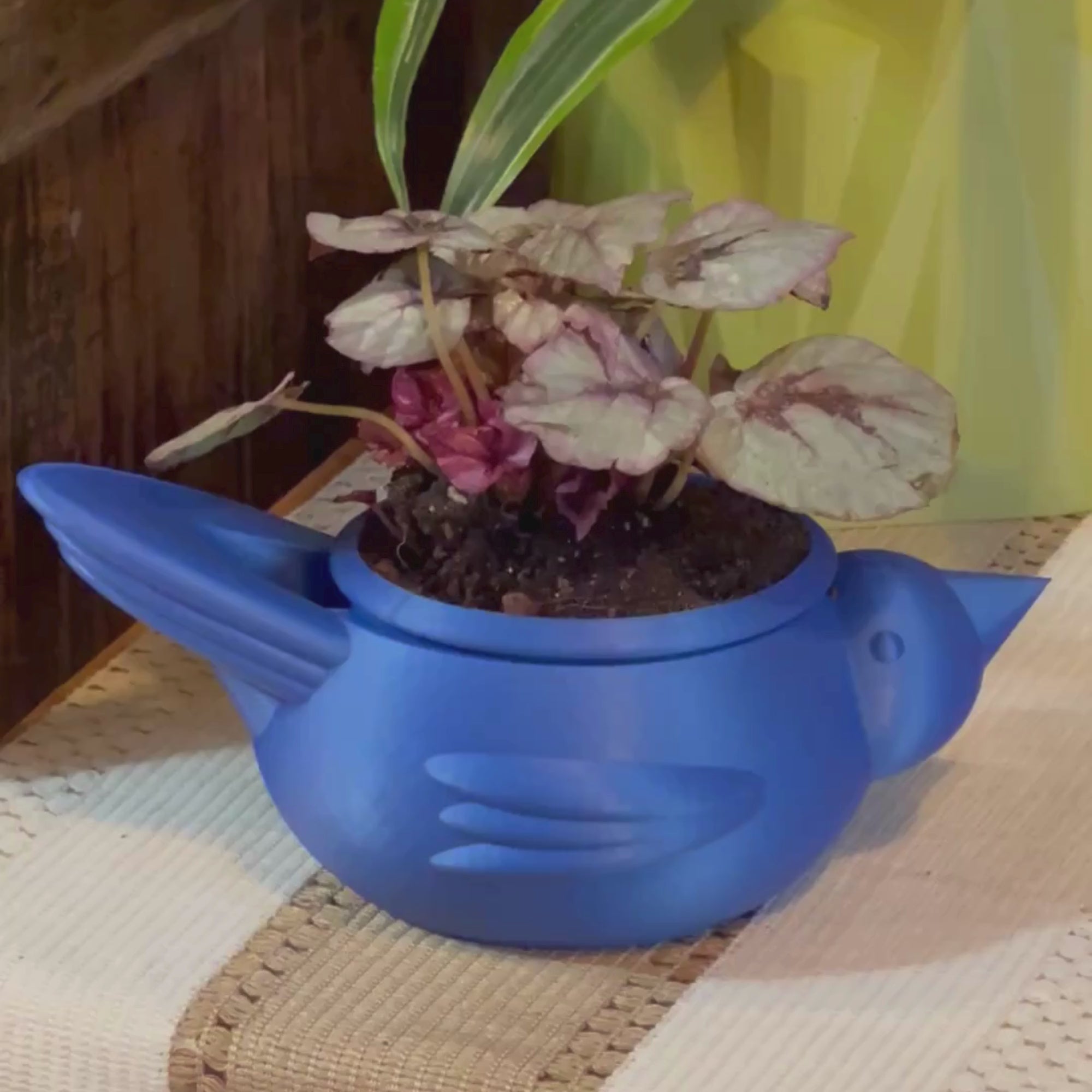 Chunky Bird self watering planter 