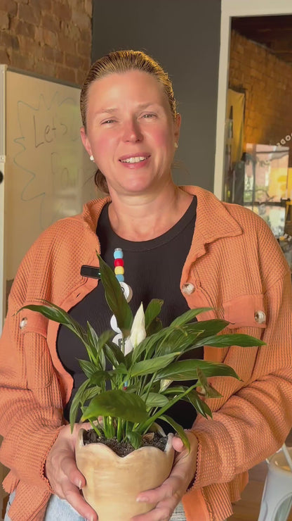 BFF Plant Kandi
