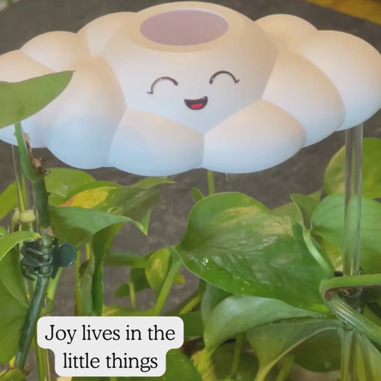 Chelsea the cloud watering a plant