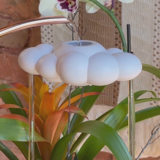 Original Dripping Rain Cloud