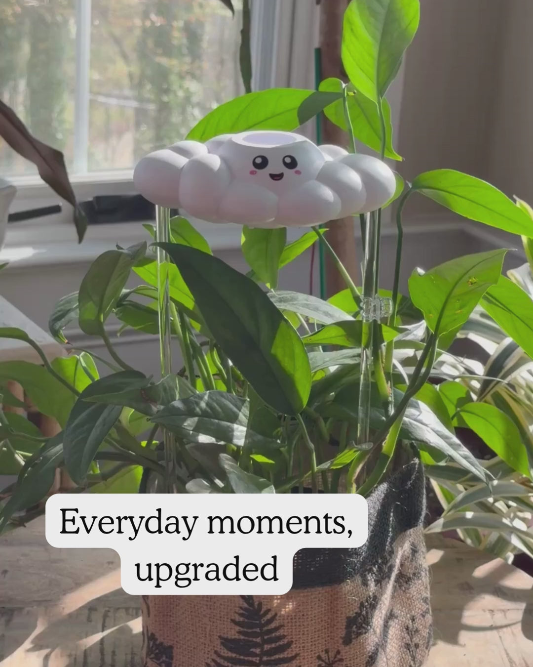 Skylar the Cloud watering a plant