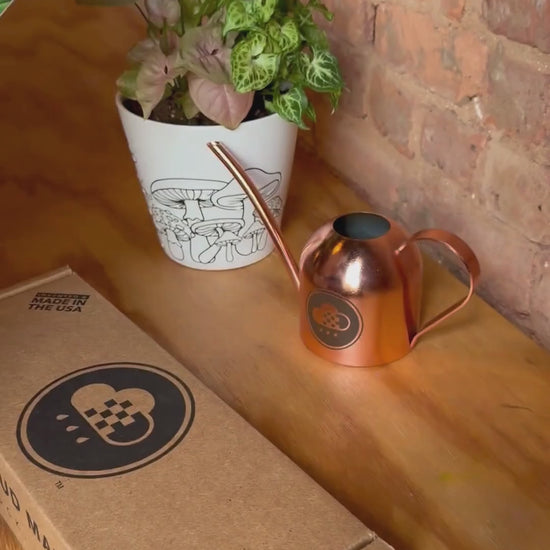 Unboxing the Original dripping rain cloud, setting it up and watering a plant 
