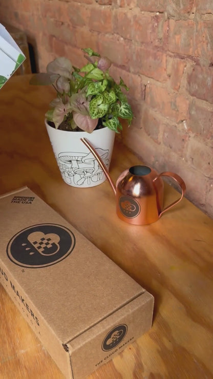 Unboxing the Original dripping rain cloud, setting it up and watering a plant 