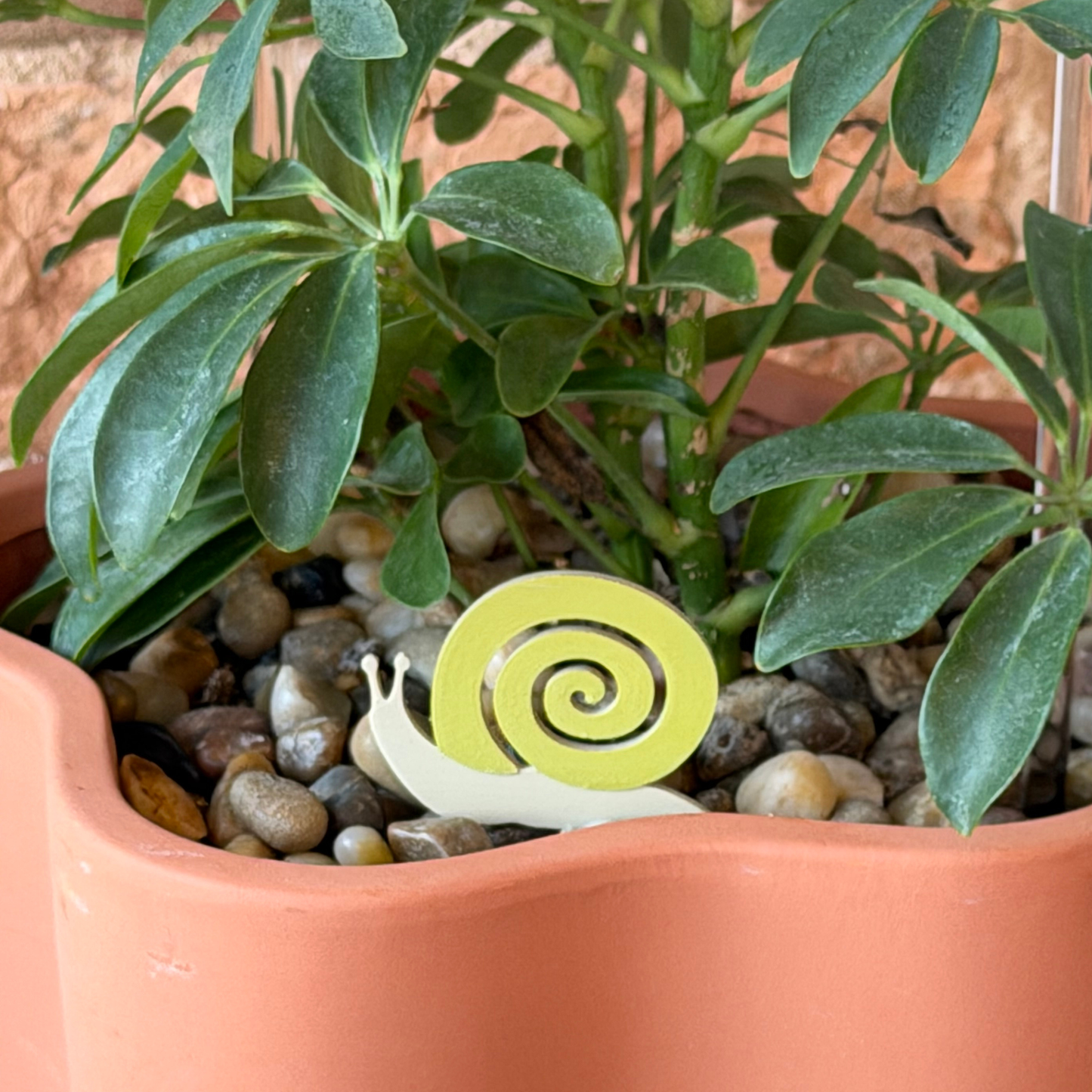 Snail Plick