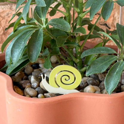 Snail Plick