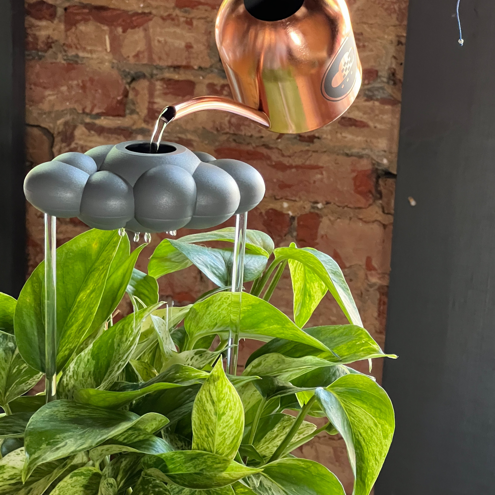 Copper watering can pouring water into Stormy Dripping Rain Cloud watering device with green leaves in the foreground.