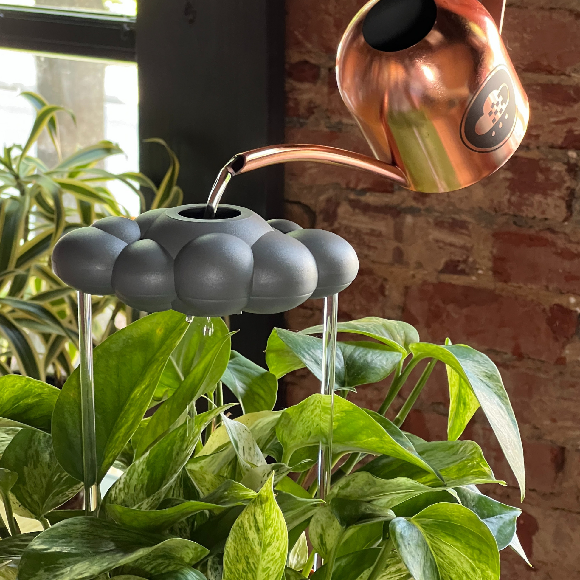 Copper watering can pouring water into a Stormy Dripping Rain Cloud watering device with plants in the background.